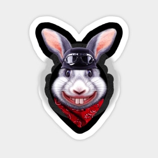 RABBIT RIDER Sticker